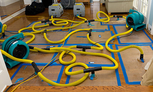 Professional Crawl Space Water Removal technician working in Winchester, MO